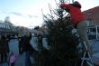 Weihnachtsbaumschmücken 002.jpg