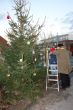 Weihnachtsbaumschmücken 015.jpg