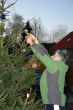 Weihnachtsbaumschmücken 021.jpg